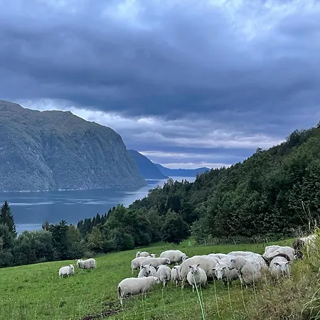 Peaceful Fjord Hideaway Close To Geiranger, Trollstigen And Alesund Appartamento Dyrkorn