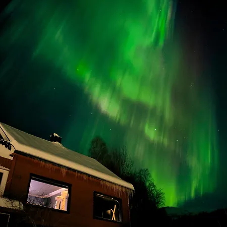 Peaceful Fjord Hideaway Close To Geiranger, Trollstigen And Alesund * Dyrkorn